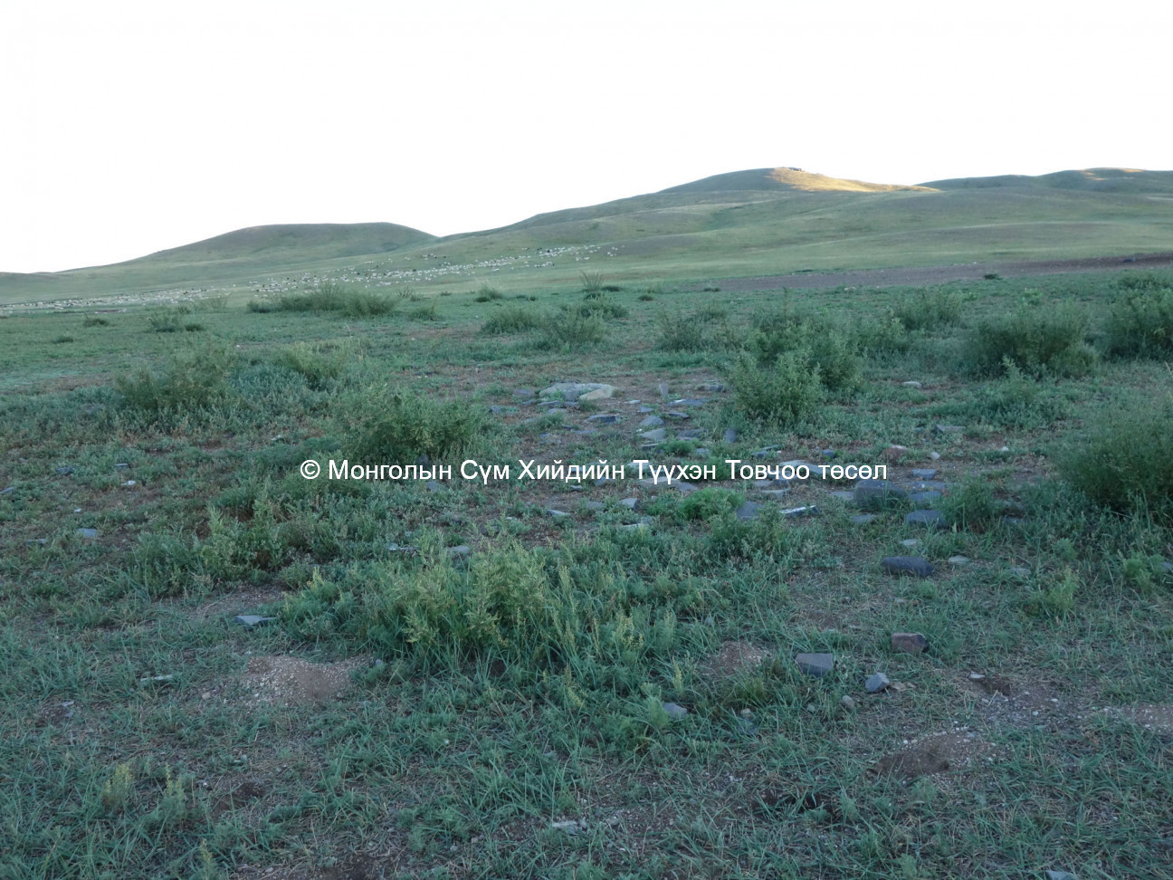 View of site